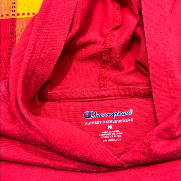 Champions Boys Hoodies Bundle - Picture 6 of 9